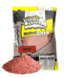 Krmítková Směs Carp Only Method Mix 1kg Spice