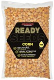 Kukurica Starbaits Ready Seeds Corn Natural 1kg