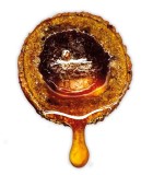 Mamci LK Baits Nutrigo Extra 20mm Plankton 100ml