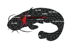 Nálepka Delphin Série Words Sumec Nálepka Delphin Série Words Sumec