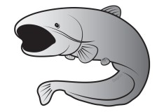 Naljepnica Delphin Silver Som