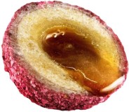 Namnada LK Baits Nutrigo Plumberry 200ml