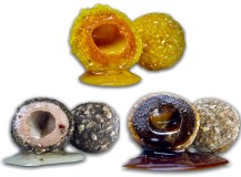 Náv bait LK Baits Nutrigo Balanc Particle