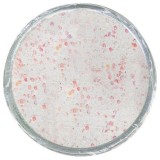 Obalovací těsto Berkley PowerBait Glow-in-the-Dark Trout Bait, 50 g