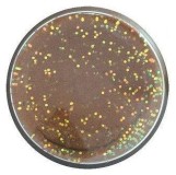 Obalovacie cesto Berkley PowerBait Natural Glitter Trout Dough 86gr Fish Pellet Glitter