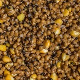 Partikel LK Baits IQ Method Feeder 1kg Mix