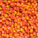 Partikel LK Baits IQ Method Feeder Corn 1kg Pikantní Broskyňa