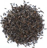 Partikel Mikbaits Niger Partikel Mikbaits Niger