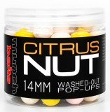 Pl floating Boilie Munchbaits Citrus Nut Washed Out Pop-Ups 200ml Pl floating Boilie Munchbaits Citrus Nut Washed Out Pop-Ups 200ml