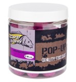 Plovoucí Boilie Carp Only Absolut Plum Pop-Up 80gr 20mm