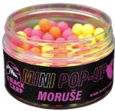 Plovoucí Boilies Black Carp Mini Pop-Up 8mm 30gr Moruše Plovoucí Boilies Black Carp Mini Pop-Up 8mm 30gr Moruše