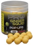 Plovoucí Boilies Starbaits Pop-Up Pro Ginger Squid