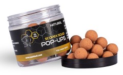 Plovuci Boilies Nash Scopex Squid Pop Ups 2024 75gr 20mm Prirodno
