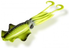 Podvodné Plavák Black Cat Calamar U-Float Floating 20gr Yellow Zombie