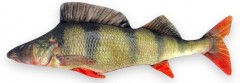 Polštář BeCare Ostriež Obyčajný 44cm