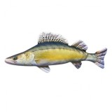 Polštář Gaby Candát Obecný