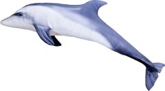 Polštář Gaby Delfín Skákavý 125cm