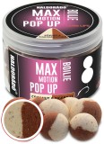 Pop-Up boilevi Haldorádó Max Motion Kokos/Tigrova orah 16+20mm 50g