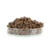 Potápajúce Pstruhové Granule Mikbaits 10kg + 100ml Lososový Olej