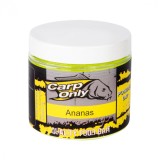 Praškasti Dip Carp Only Power Dip 100gr Ananas