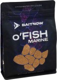 Primama Baitnow Groundbait Method Feeder 800gr