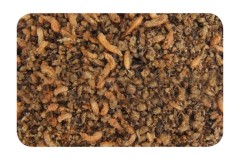 Prísada do Boilies Nikl Mega Insect 2,5kg