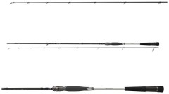 Prút Daiwa Morethan Ags Seatrout 3,10m 5-25g