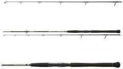 Prut Daiwa Powermesh Catfish Spin 2,40 m 185 g