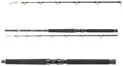 Prut Daiwa Tanacom Ultra Deep 2,10m 400-1000gr