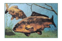 Rohožka Delphin Kapr pod Hladinou Rohožka Delphin Kapr pod Hladinou