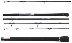 Štap Daiwa Saltiga Air Portable 2,50m 80-125g