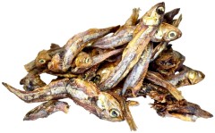 Sušeni Inćuni LK Baits Pet 50g