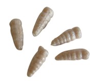 Umjetni mamac Berkley Gulp! Alive! Waxies White 12mm