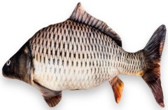 Vankúš BeCare Kapor Šupináč Veľkosť S 32cm