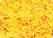 Varený Partikelový Mix LK Baits IQ Method Feeder Turbo Mix 1,5kg