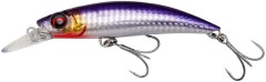 Vobler Savage Gear Gravity Runner Sinking 10cm 37gr Bloody Anchovy PHP