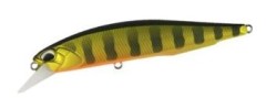 Wobler DUO Realis Jerkbait 100SP 10cm 14,5gr Gold Perch