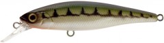 Wobler Illex Squad Minnow SP 6,5cm 5,8gr Vairon