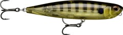 Wobler Rapala Precision Xtreme Pencil 8,7cm 12gr GGIU