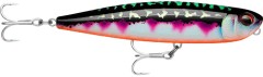 Wobler Rapala Precision Xtreme Pencil EXO 10,7cm 21gr TMN