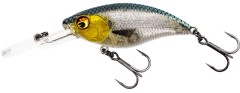 Wobler Westin BuzzBite Crankbait Suspending 6cm 10gr 3D Headlight