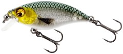 Wobler Westin BuzzBite SR Crankbait Low Floating 4cm 4gr 3D Headlight
