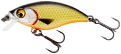 Wobler Westin BuzzBite SR Crankbait Low Floating 4cm 4gr Oficialni Roach