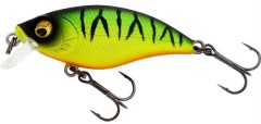 Wobler Westin BuzzBite SR Crankbait Low Floating 5cm 6gr Firetiger