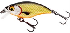 Wobler Westin BuzzBite SR Crankbait Low Floating 5cm 6gr Official Roach