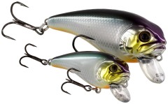 Wobler Westin FatBite Crankbait 8cm 24gr Floating Striped Redhead