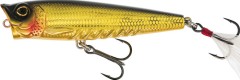 Wobler Westin Spot-On Popper Floating 6,5cm 7gr Gold Chrome