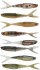Gumová Nástraha Berkley Cullminnow Mixpack Clear Water