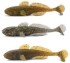Imitacija peša Iron Claw Gobody 9cm