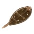 Krmilo Giants Fishing Method Feeder Deluxe